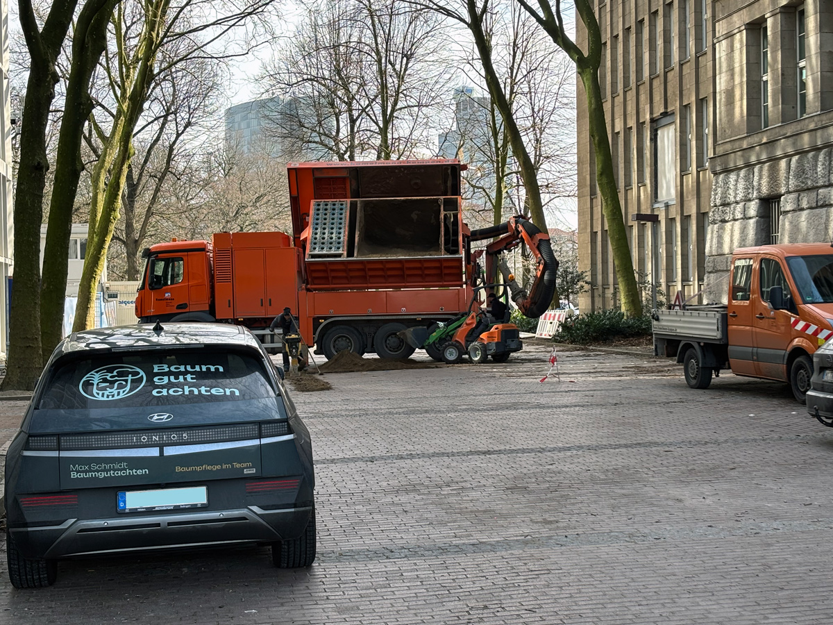 Saugbagger und weitere Baufahrzeuge im Einsatz während einer ökologischen Baubegleitung