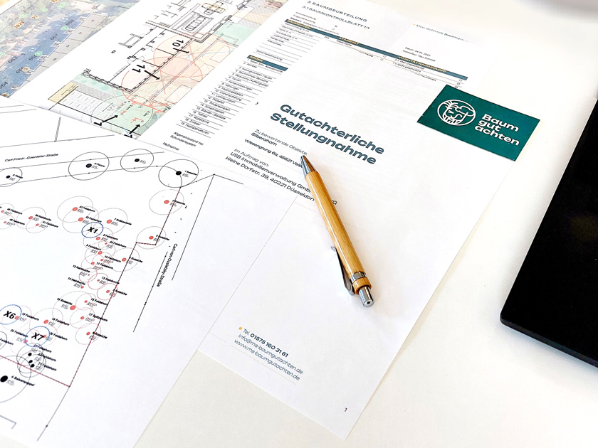Gutachterliche Stellungnahme mit Lageplänen auf einem Büroschreibtisch
