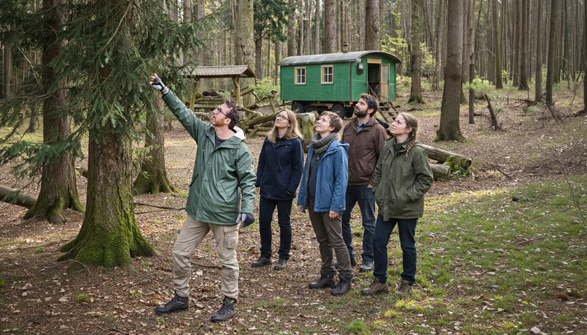 Max Schmidt während des Coachings an einem Baum mit einer Gruppe von Pädagog*innen im Waldkindergarten