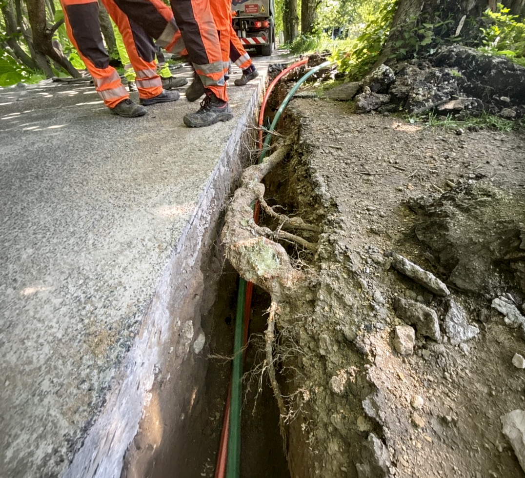 Freigelegter Wurzelraum nach einer Suchschachtung